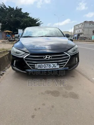 Hyundai Elantra 2018 Bleu