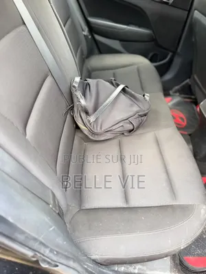 Hyundai Elantra 2018 Bleu