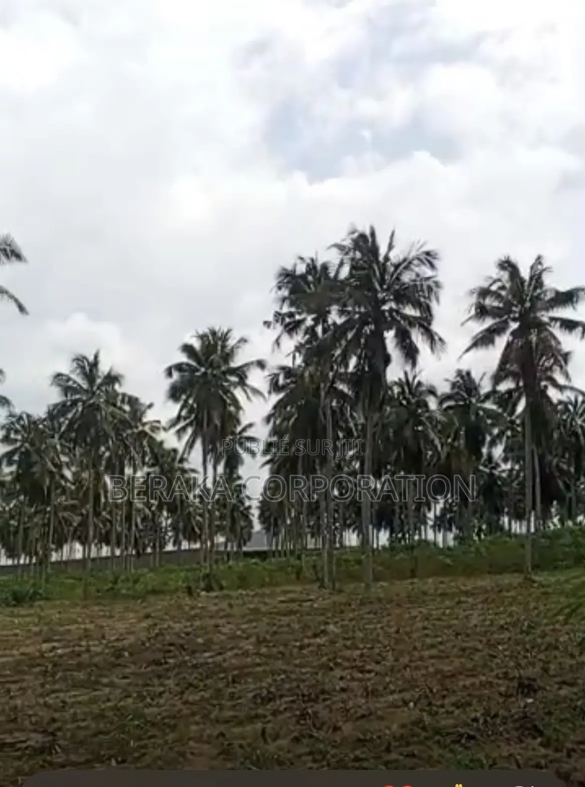  BONOUA – ZONE INDUSTRIELLE  Superficie : 2,5 Hectares (25 000 M2)