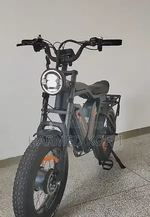 Vélo Électrique