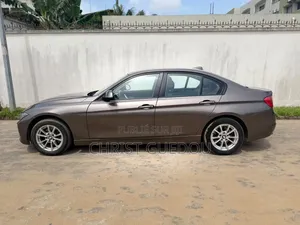 BMW 3 Series 2011 Marron