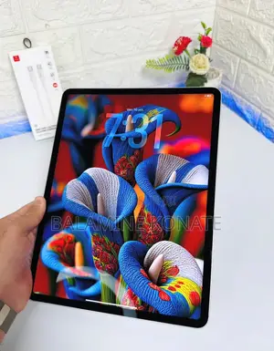 Nouveau Apple iPad Pro 12.9 (2022) 512 GB Gris