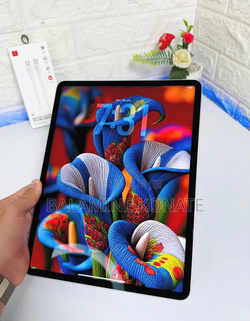 Nouveau Apple iPad Pro 12.9 (2022) 512 GB Gris