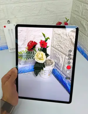 Nouveau Apple iPad Pro 12.9 (2022) 512 GB Gris