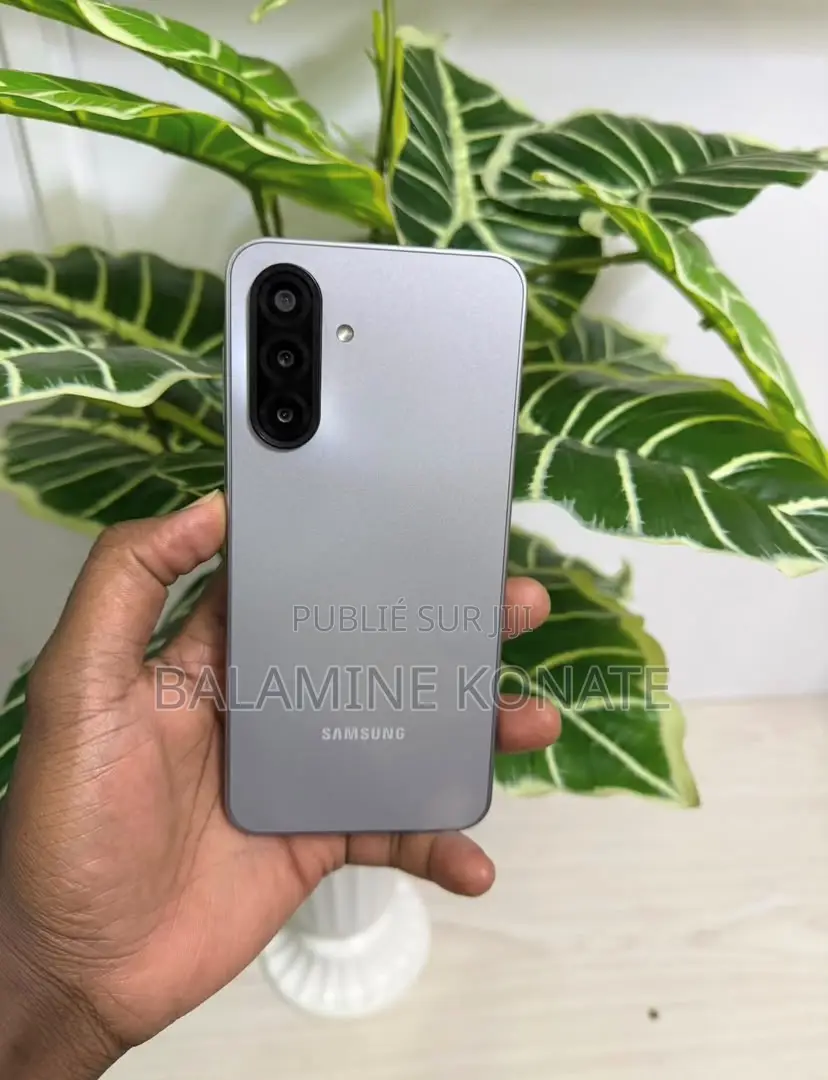 Nouveau Samsung Galaxy A17 256 GB Gris