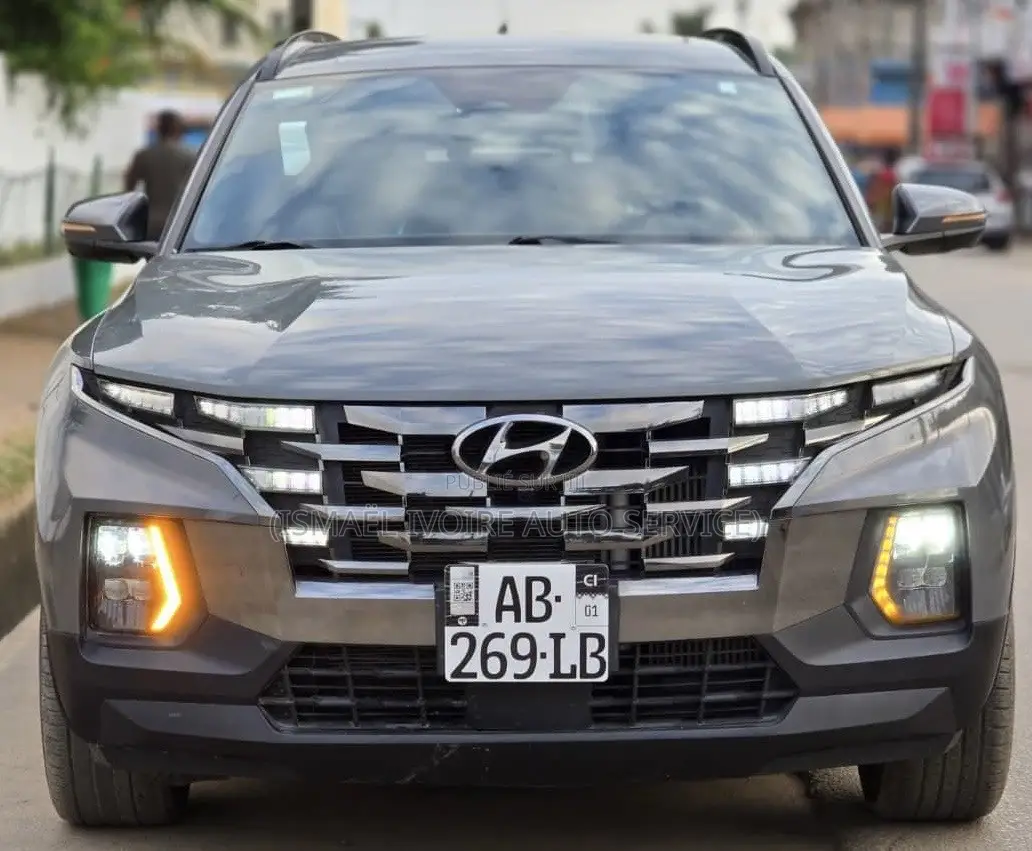 Hyundai Santa Fe 2022 Gris