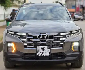 Hyundai Santa Fe 2022 Gris