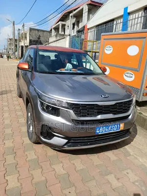 Kia Seltos 2021 Gris