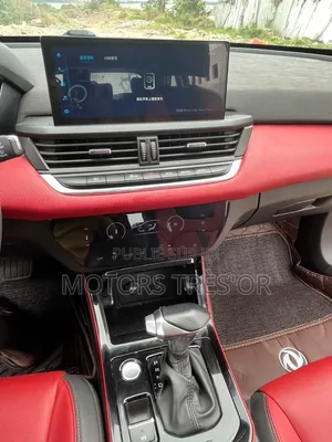 Aeolus Yixuan 230T Automatic Huxiao Edition 2022 Bordeaux