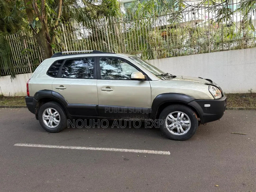 Hyundai Tucson 2006 Gris