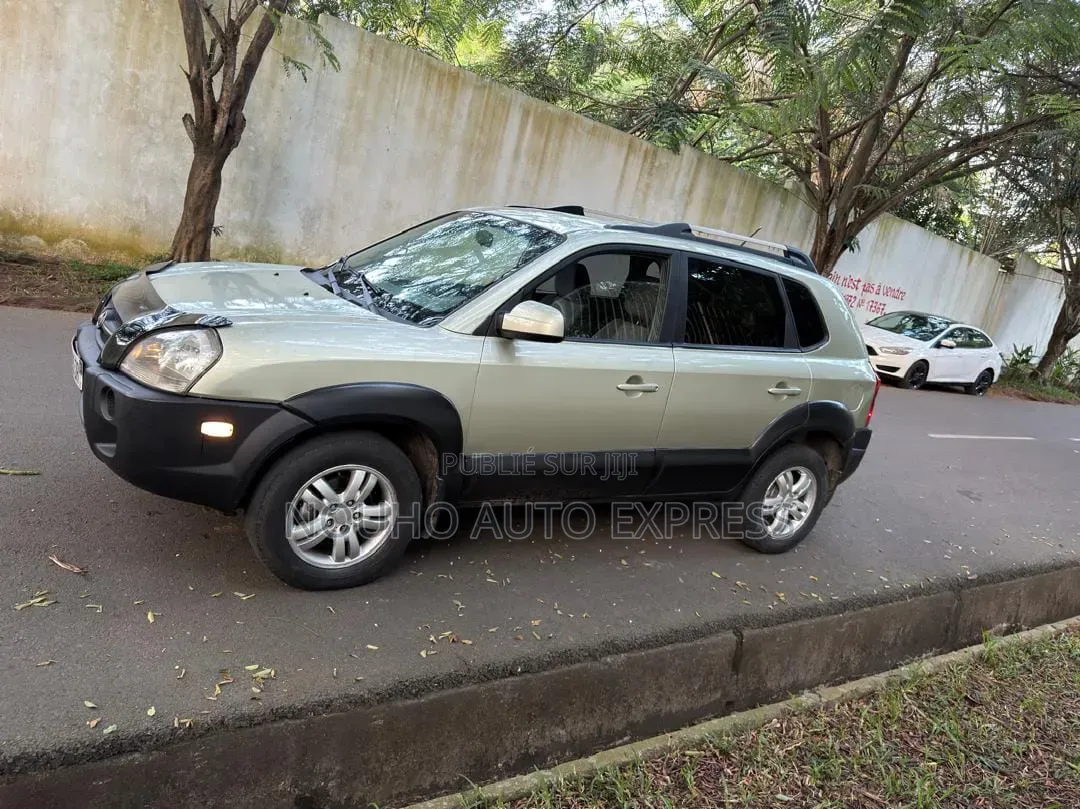Hyundai Tucson 2006 Gris
