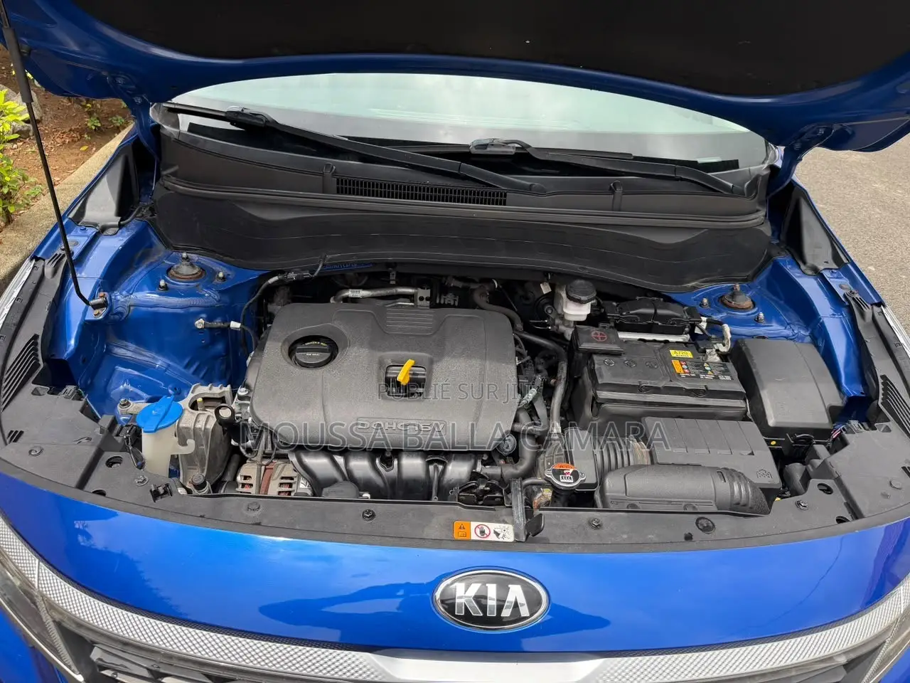Kia Seltos EX 2024 Bleu