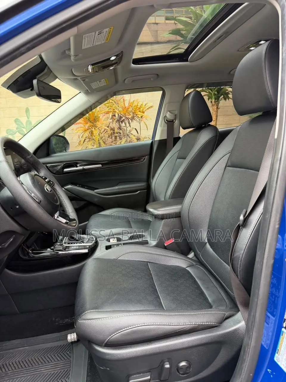 Kia Seltos EX 2024 Bleu