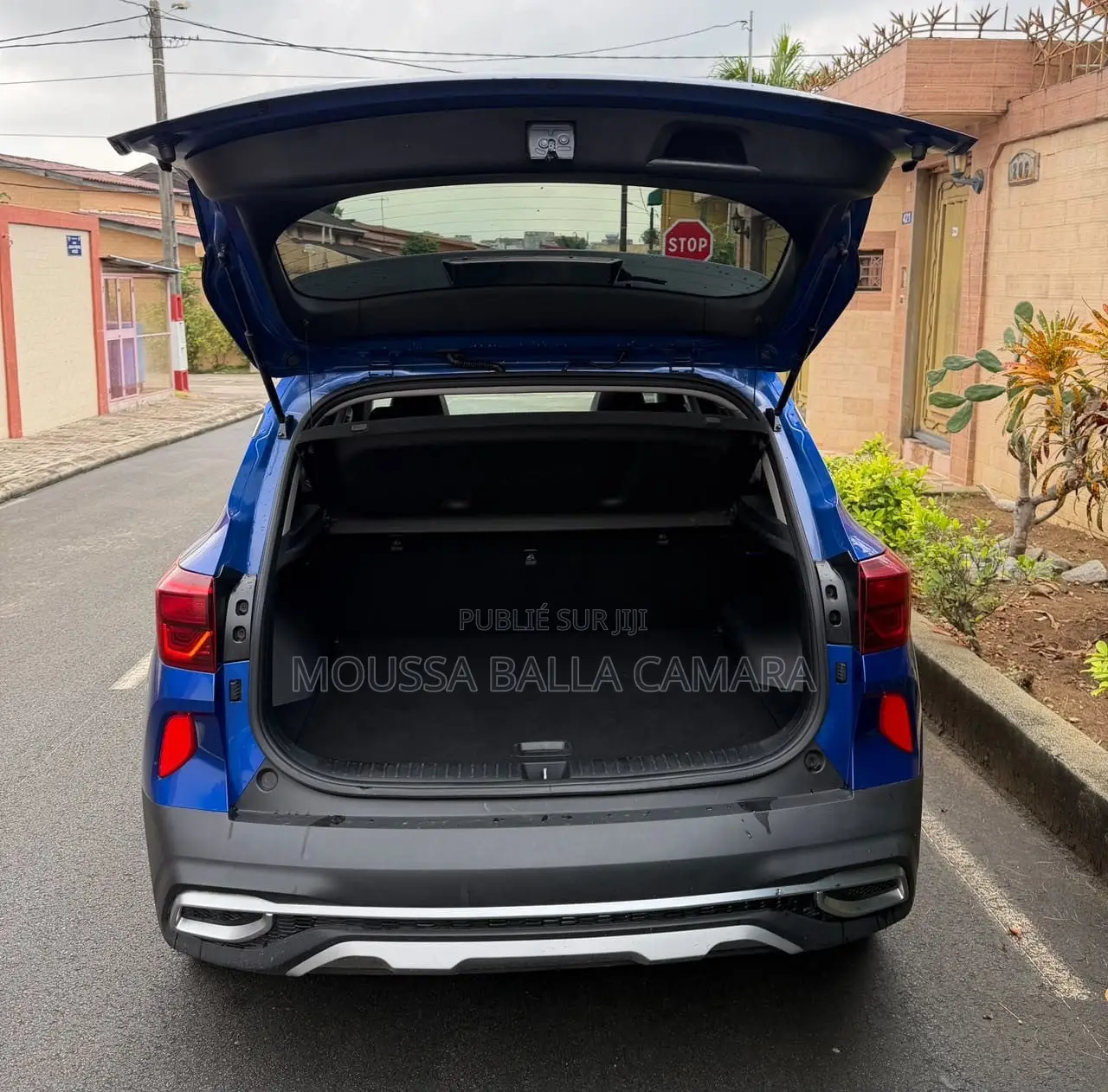 Kia Seltos EX 2024 Bleu