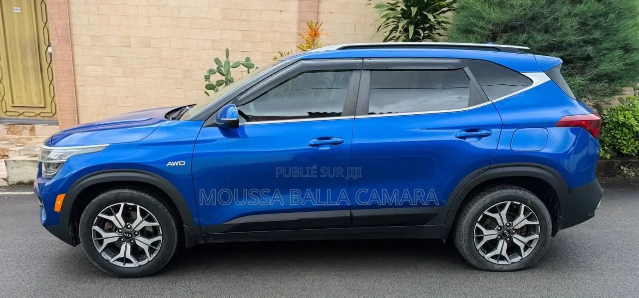 Kia Seltos EX 2024 Bleu