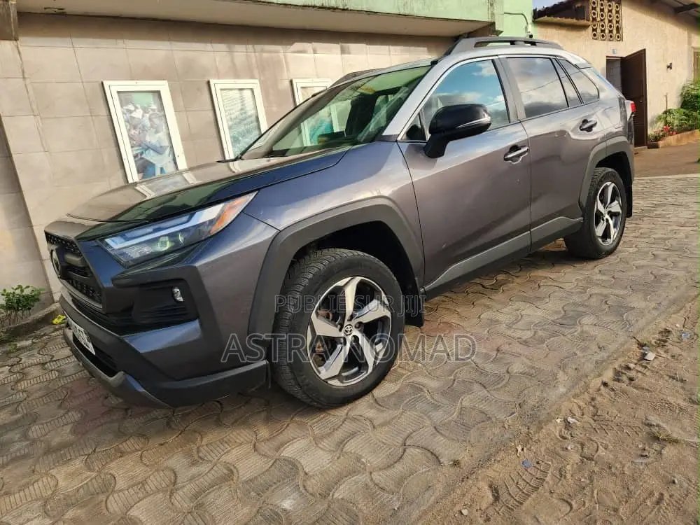 Toyota RAV4 2024 Gris
