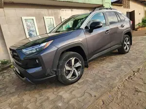 Toyota RAV4 2024 Gris
