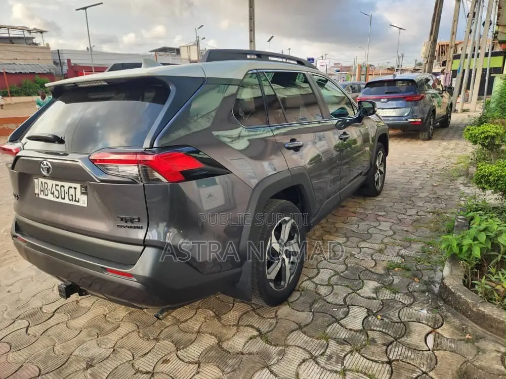 Toyota RAV4 2024 Gris