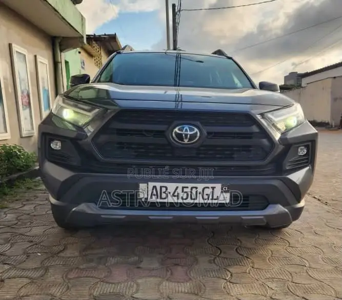 Toyota RAV4 2024 Gris