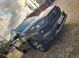 Toyota RAV4 2024 Gris