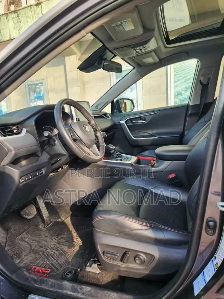 Toyota RAV4 2024 Gris