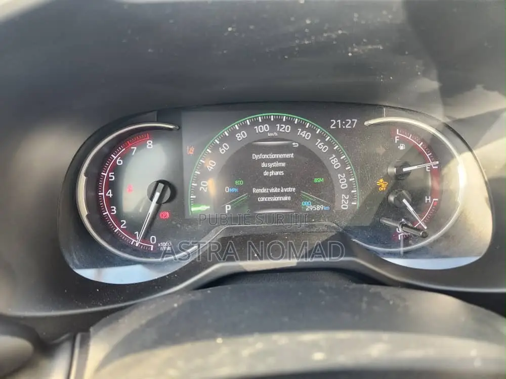 Toyota RAV4 2024 Gris