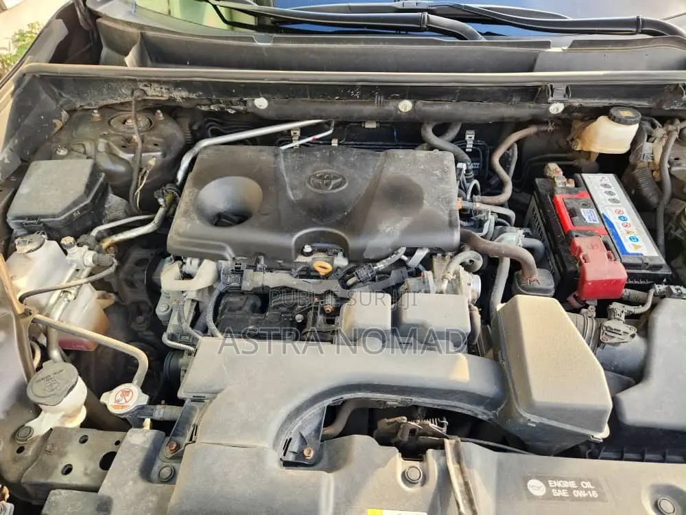 Toyota RAV4 2024 Gris