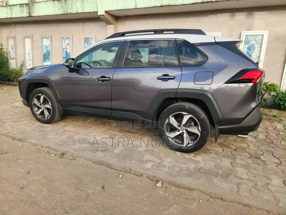 Toyota RAV4 2024 Gris