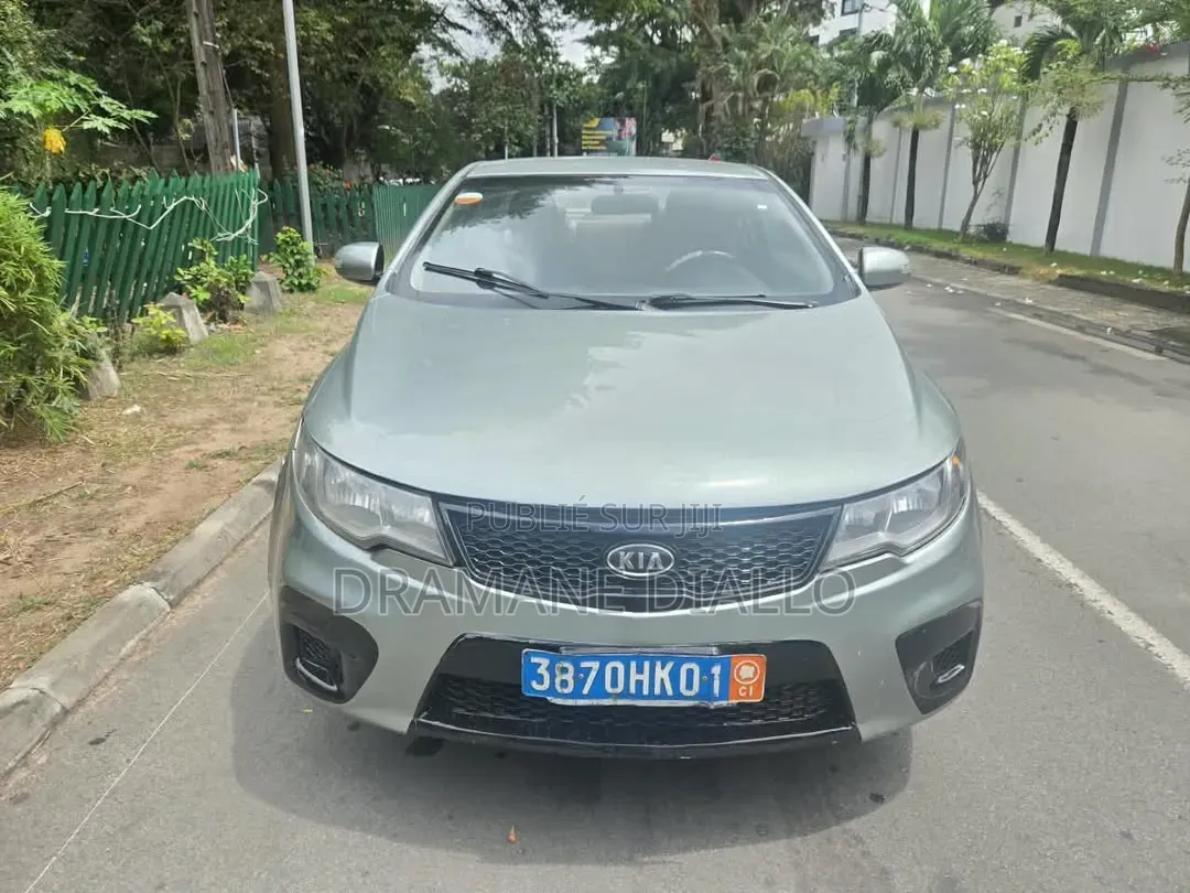Kia Rio 2012 Vert