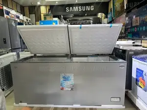 Congélateur Bahut Double Porte