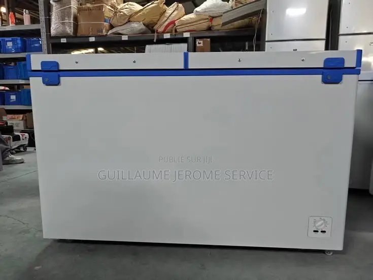 Congélateur Bahut Double Porte