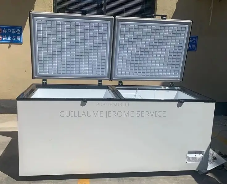 Congélateur Bahut Double Porte
