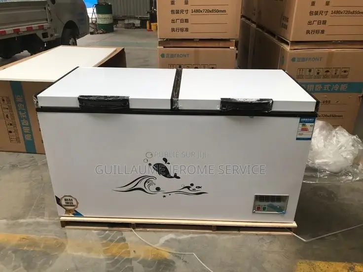 Congélateur Bahut Double Porte