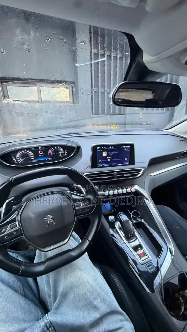 Peugeot 3008 2020 Gris
