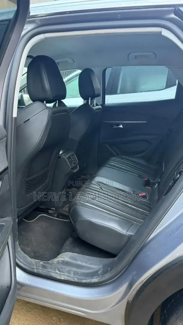 Peugeot 3008 2020 Gris