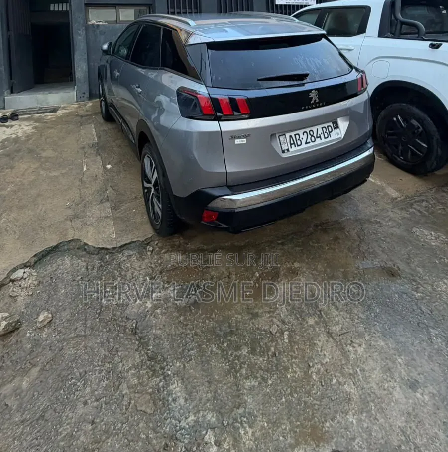 Peugeot 3008 2020 Gris