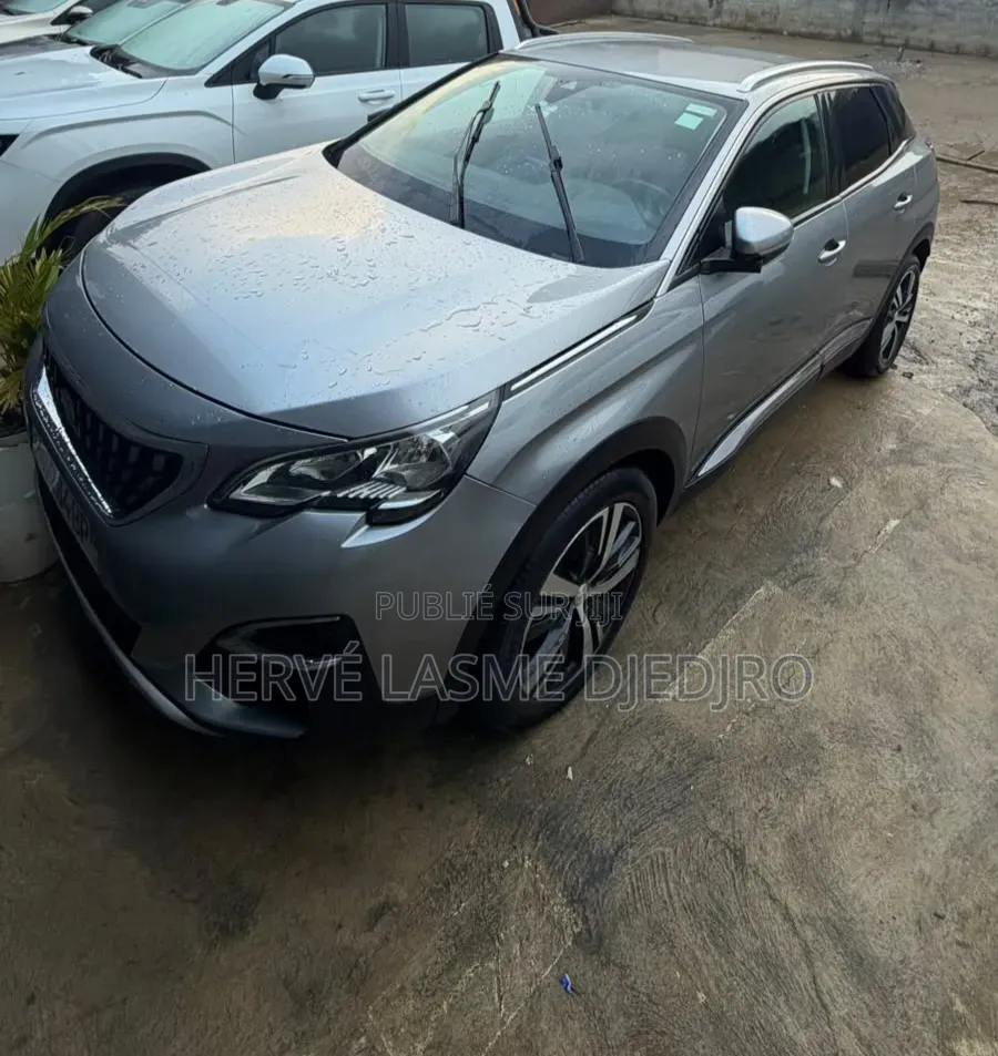 Peugeot 3008 2020 Gris