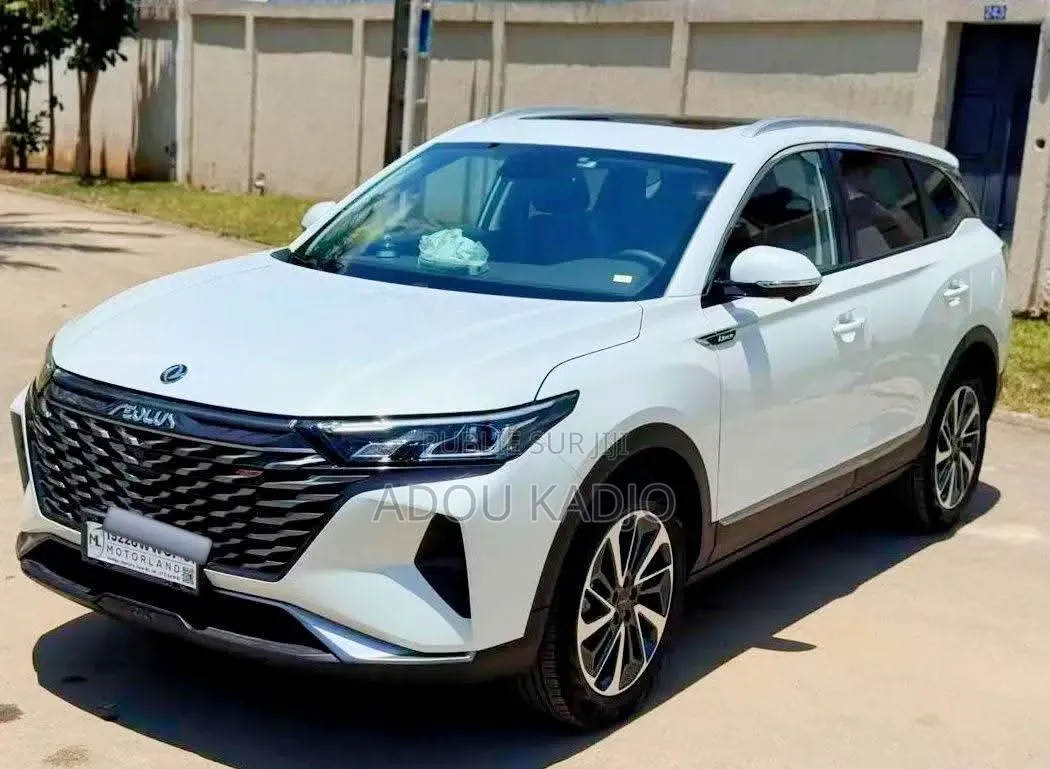 Nouveau Dongfeng Z9 2.0T Petrol 4WD 2026 Blanc