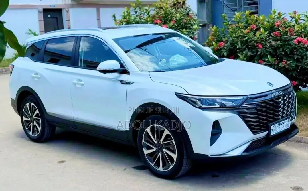 Nouveau Dongfeng Z9 2.0T Petrol 4WD 2026 Blanc