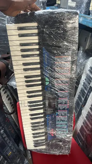 Clavier Casio CTK 495