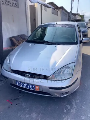 Ford Focus 2002 Gris