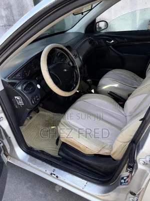 Ford Focus 2002 Gris