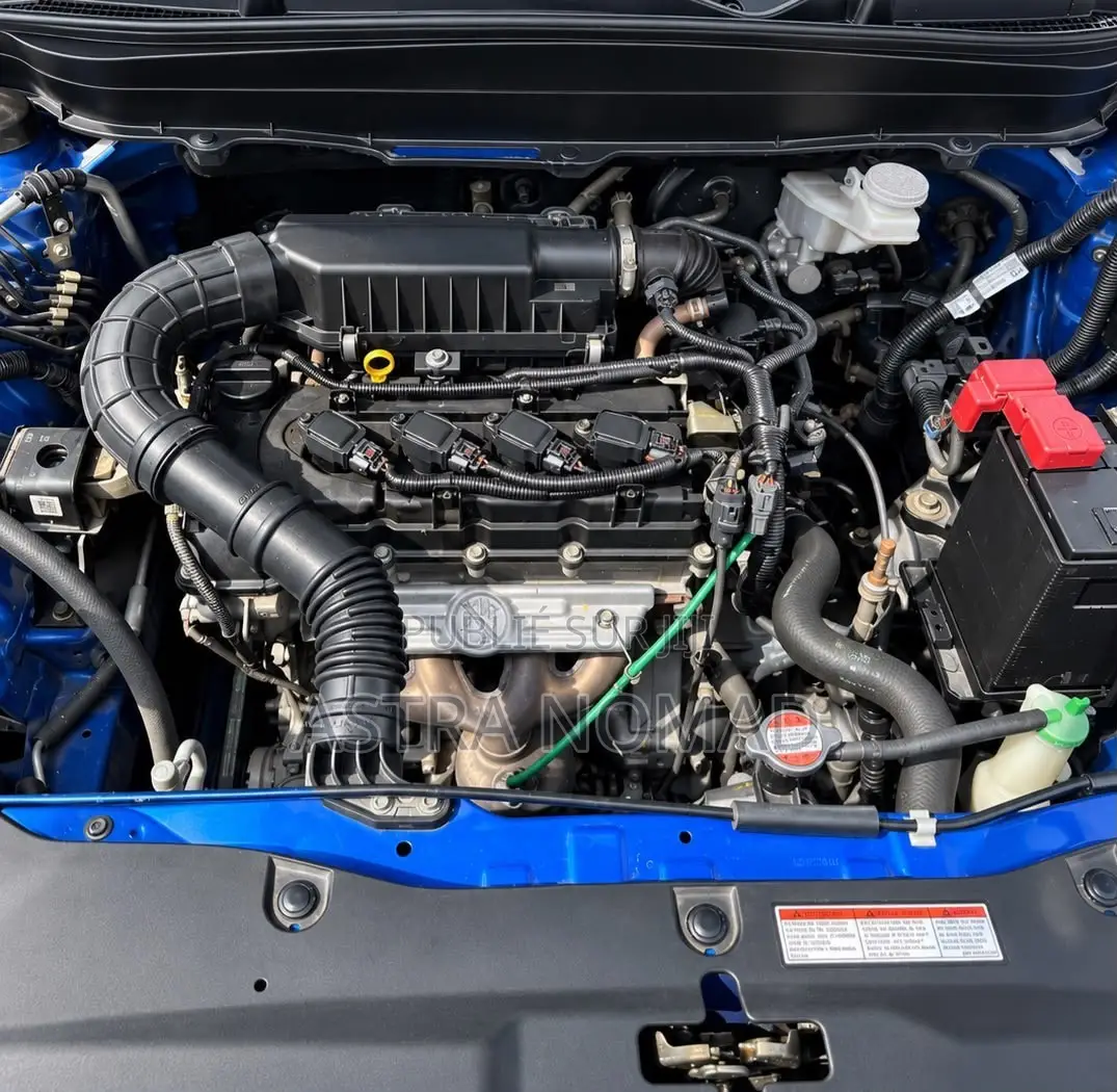 Toyota Urban Cruiser 2024 Bleu