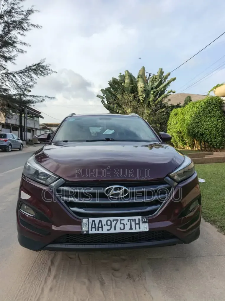 Hyundai Tucson 2018 Rouge