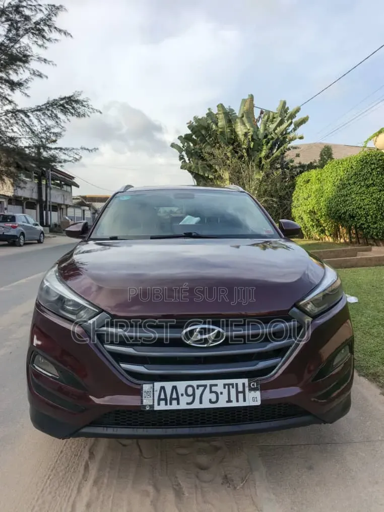 Hyundai Tucson 2018 Rouge