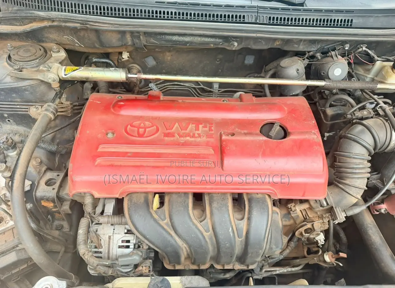 Toyota Corolla 2003 Gris