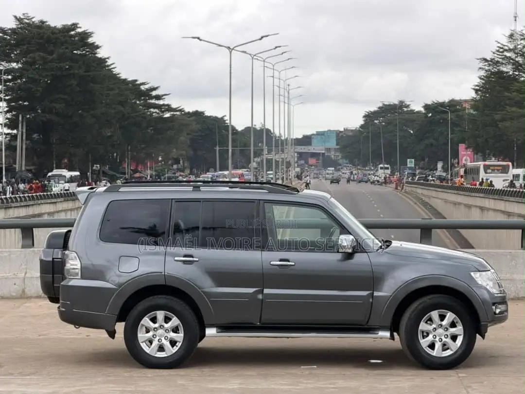 Mitsubishi Pajero 2019 Gris