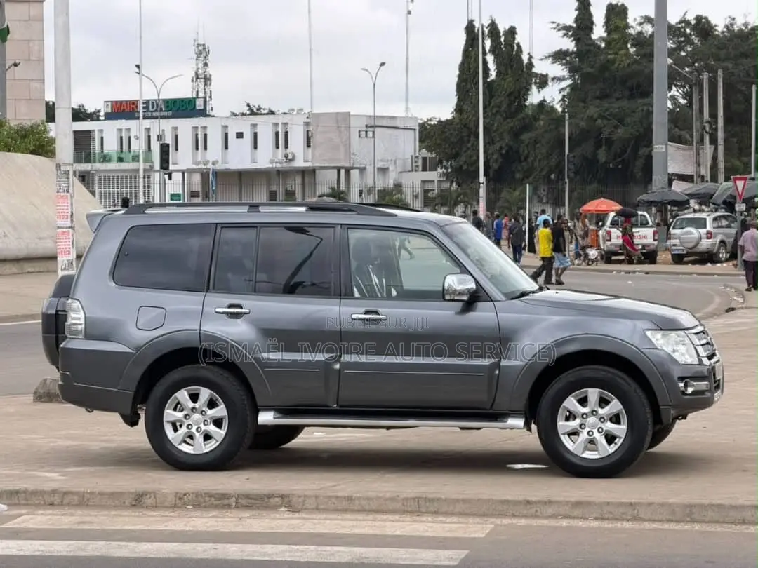Mitsubishi Pajero 2019 Gris