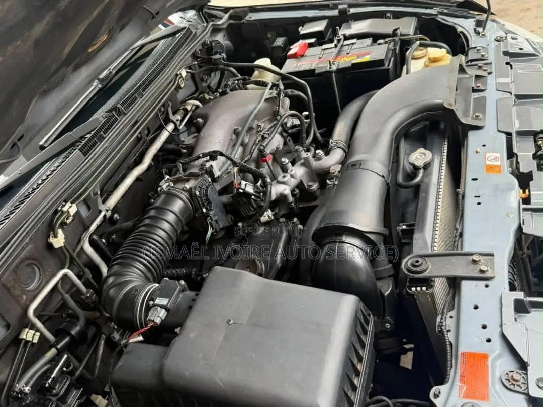 Mitsubishi Pajero 2019 Gris
