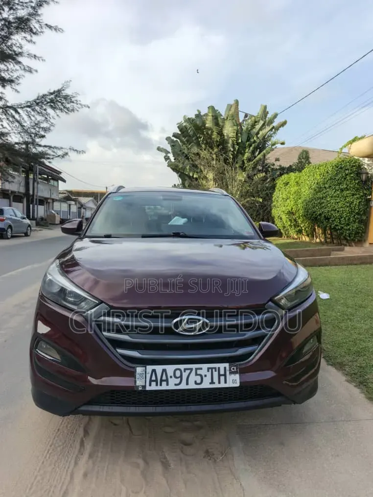 Hyundai Tucson 2018 Rouge